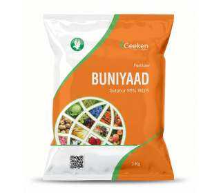 BUNIYAAD