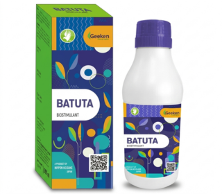 BATUTA