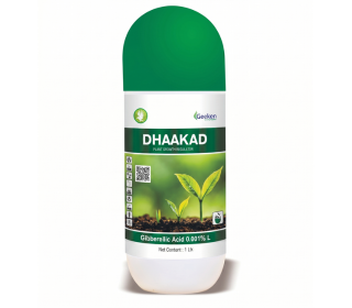 DHAAKAD