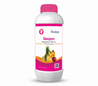 GEEPON