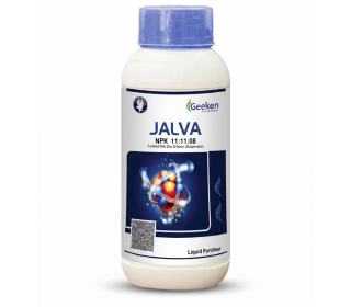 JALVA